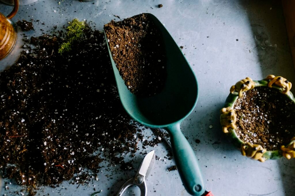 Illustrative stock photo of herbs